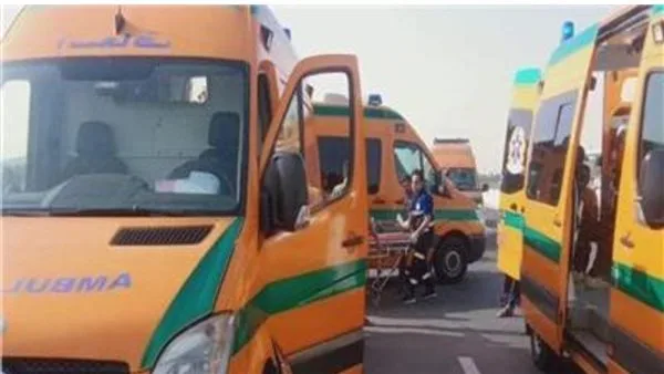 حيوان مفترس يهاجم في فرشوط ويصيب 8 أشخاص بينهم طفلة بالأسماء