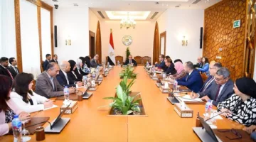 بالتفاصيل.. وزير الخارجية يراقب جهود دعم المصريين المغتربين