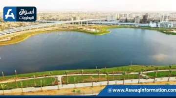 تحول بحيرة عين الصيرة إلى واحدة من الوجهات السياحية الرئيسية في القاهرة | فيديو