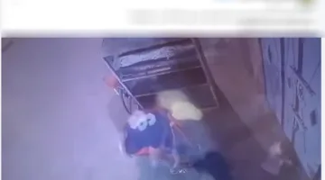 وقعت في دولة عربية.. الداخلية توضح حقيقة الفيديو المتعلق بالاعتداء على قطة | شاهد من هنا