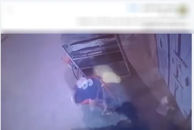 وقعت في دولة عربية.. الداخلية توضح حقيقة الفيديو المتعلق بالاعتداء على قطة | شاهد من هنا وقعت في دولة عربية.. الداخلية توضح حقيقة الفيديو المتعلق بالاعتداء على قطة | شاهد من هنا