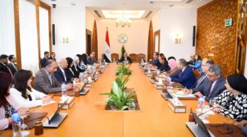 وزير الخارجية ووزارة الهجرة يتابعان جهود دعم المصريين المقيمين في الخارج