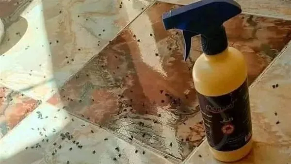 كيفية التخلص من الذباب في المنزل بفعالية خلال فصل الصيف؟ كيفية التخلص من الذباب في المنزل بفعالية خلال فصل الصيف؟