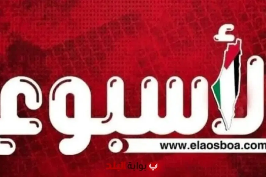 حسين الشحات يوضح تفاصيل انتقال زيزو إلى الأهلي وتجديد حبس سارة خليفة: كل ما تحتاج معرفته في تقرير شامل من بوابة البلد حسين الشحات يوضح تفاصيل انتقال زيزو إلى الأهلي وتجديد حبس سارة خليفة: كل ما تحتاج معرفته في تقرير شامل من بوابة البلد
