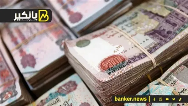 ما هي أهم المجالات التي تتلقى تسهيلات مالية من البنوك؟ ما هي أهم المجالات التي تتلقى تسهيلات مالية من البنوك؟