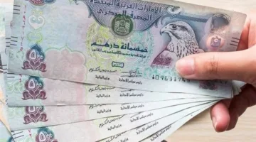 سعر الدرهم الإماراتي اليوم الثلاثاء أمام الجنيه خلال بدء تداولات البنوك