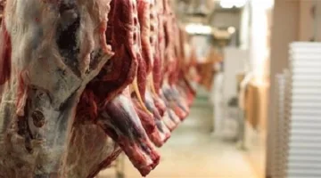 منظمة عطاء الخيرية تنفذ توزيع لحوم الأضاحي على سكان حي الثورة 19 في محلية كرري