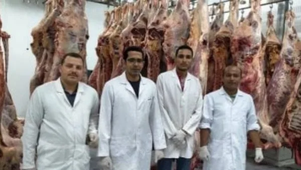 أخبار الوادي الجديد: انتهاء ذبح 875 رأسًا ضمن مشروع الأضاحي.. واحترقت سيارة محملة بالدريس أخبار الوادي الجديد: انتهاء ذبح 875 رأسًا ضمن مشروع الأضاحي.. واحترقت سيارة محملة بالدريس