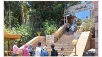 أخبار أسوان: إزالة الإشغالات، إقبال في الحديقة النباتية، توزيع لحوم الأضاحي، واستقبال 543,207 أطنان من القمح المحلي في الصوامع والشون.