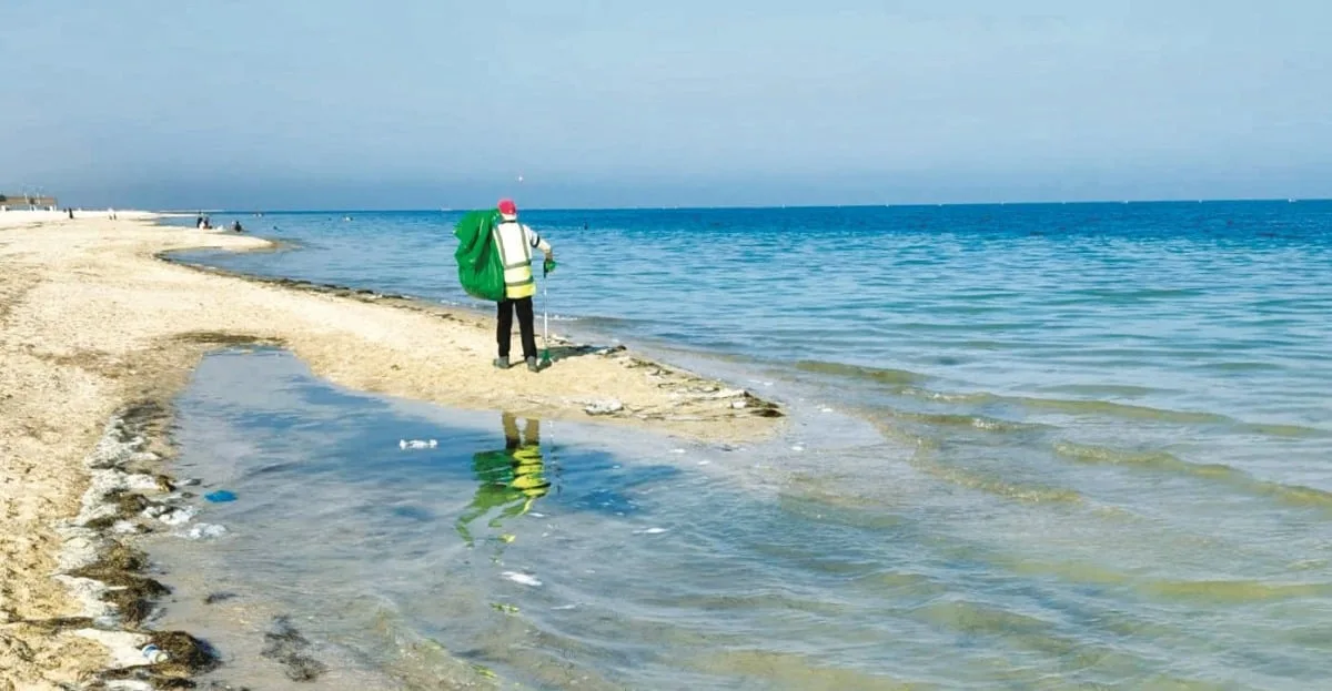 الجهات البيئية تنظم حملة تنظيف في شاطئ سميسمة الجهات البيئية تنظم حملة تنظيف في شاطئ سميسمة