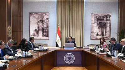 تعزيز استخدام طاقة الرياح والطاقة الشمسية بحلول عام 2030.. توجيه عاجل من الوزراء.. التفاصيل هنا