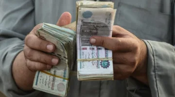 هل يمكن اعتبار الأضحية من أموال الزكاة؟.. دار الإفتاء تفسر