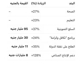 وزير المالية: الاقتصاد المصري يشهد انتعاشاً والقطاع الخاص يسهم بـ60% في النمو الاستثماري