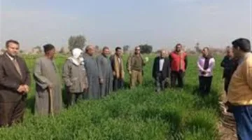 الزراعة تراجع الأنشطة البحثية والإرشاد في قرى الأقصر
