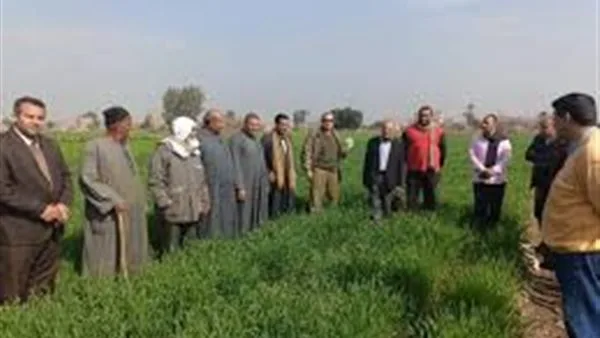 الزراعة تراجع الأنشطة البحثية والإرشاد في قرى الأقصر