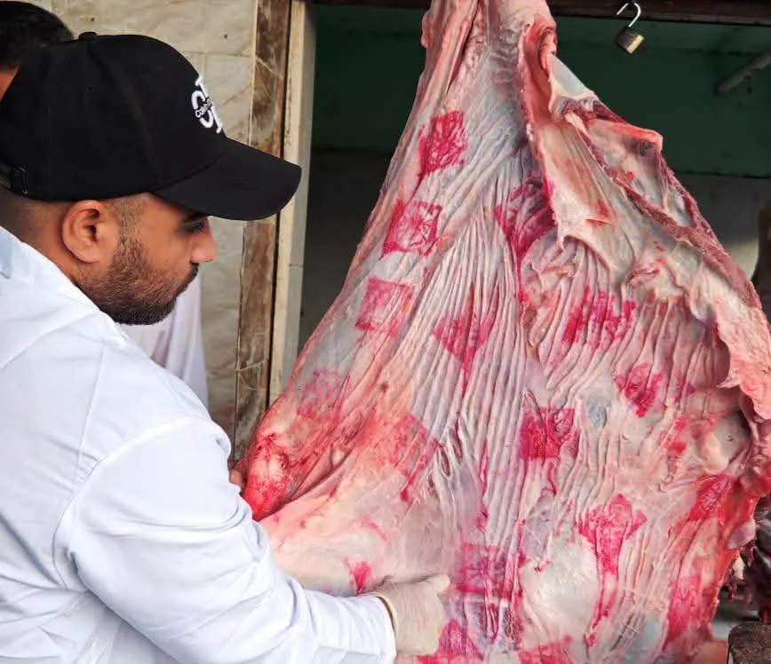 محافظ أسوان: ذبح 3169 حيوانًا تحت إشراف بيطري شامل في 13 مجزرا خلال عيد الأضحى المبارك. محافظ أسوان: ذبح 3169 حيوانًا تحت إشراف بيطري شامل في 13 مجزرا خلال عيد الأضحى المبارك.