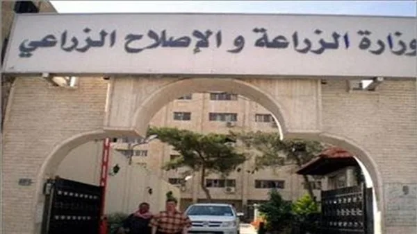 “الزراعة” تدعم فعالية الأطباء البيطريين من خلال ممارسات علاجية مستدامة “الزراعة” تدعم فعالية الأطباء البيطريين من خلال ممارسات علاجية مستدامة