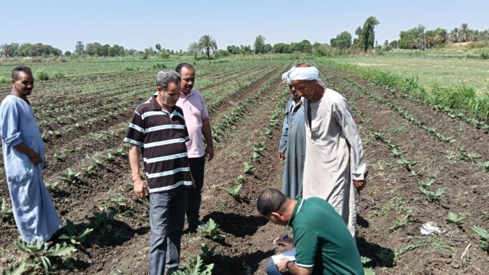 الزراعة تتفقد الأنشطة البحثية بالأقصر