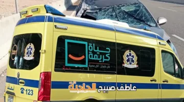 نتائج التحقيقات في حادث دهس ثلاثة أشقاء على طريق الأوتوستراد في مدينة نصر