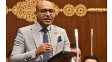 برلماني: تأييد القضية الفلسطينية يحتاج إلى أكثر من مجرد العواطف
