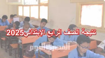 خلال ساعات.. كيفية الاستعلام عن نتيجة الصف الرابع الابتدائي في محافظة الجيزة 2025 ورابط الحصول عليها (عند ظهورها)