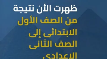 عاجل.. نتائج نهاية العام الدراسي للصفين الأول الابتدائي والثاني الإعدادي في الجيزة