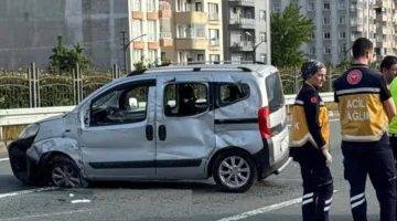 نحلة تؤدي إلى وفاة شقيقين في حادث سير مروع بتركيا