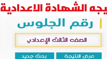 نتائج الصف الثالث الإعدادي 2025 في جميع المحافظات .. تفاصيل هامة الآن