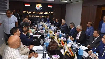 جمال التهامي: الأحزاب المتحالفة ستساند بعضها في الدوائر الانتخابية للمنافسة على المقاعد الفردية.