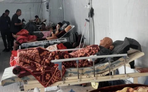حالة غزة: نقص حاد وخطير في كميات الدم حالة غزة: نقص حاد وخطير في كميات الدم