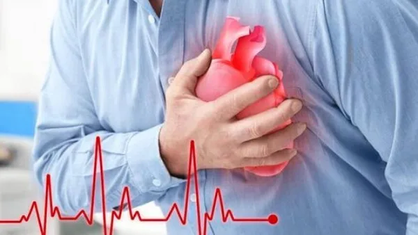 بعد طرحه في الأسواق.. كيف يؤثر تناول البطيخ الأصفر على جسمك؟ بعد طرحه في الأسواق.. كيف يؤثر تناول البطيخ الأصفر على جسمك؟