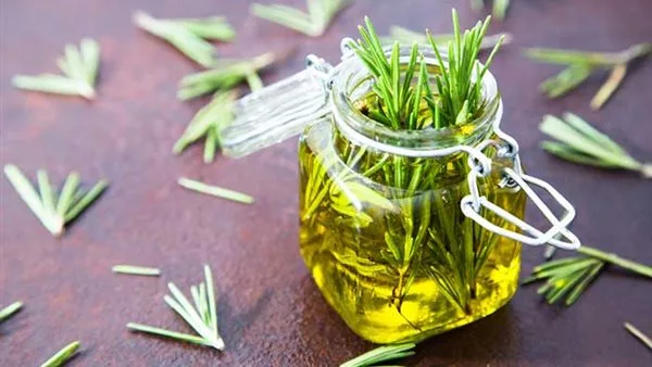 طرق استخدام زيت إكليل الجبل لزيادة كثافة وطول الشعر: 7 وصفات متنوعة طرق استخدام زيت إكليل الجبل لزيادة كثافة وطول الشعر: 7 وصفات متنوعة
