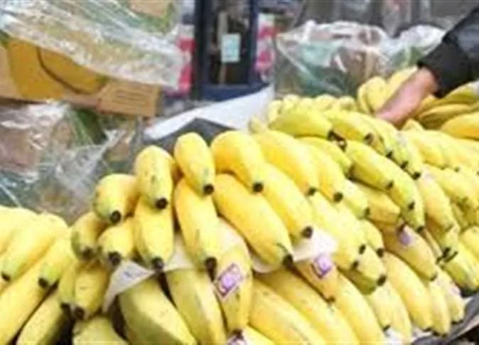 أسعار الخوخ والبطيخ والفواكه في الأسواق ليوم الخميس 12 يونيو 2025 أسعار الخوخ والبطيخ والفواكه في الأسواق ليوم الخميس 12 يونيو 2025