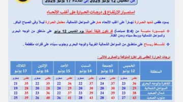 ضباب كثيف ورياح قوية وأمطار على هذه المناطق.. الأرصاد تحذر من تقلبات الطقس