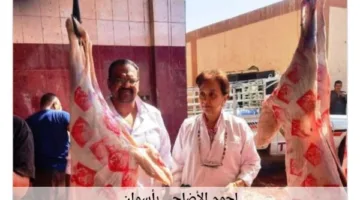 أسوان خلال 24 ساعة: القضاء على عناصر إجرامية وتنفيذ حملات موسعة لإزالة التعديات