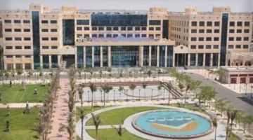 دليل كامل لكليات جامعة فاروس بالإسكندرية 2025: التخصصات، المستندات المطلوبة، ومتطلبات القبول