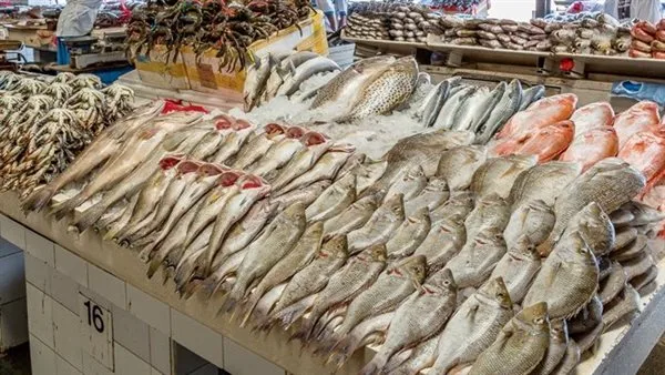 أسعار الأسماك والمنتجات البحرية في الغربية اليوم الخميس 12 يونيو 2025 أسعار الأسماك والمنتجات البحرية في الغربية اليوم الخميس 12 يونيو 2025
