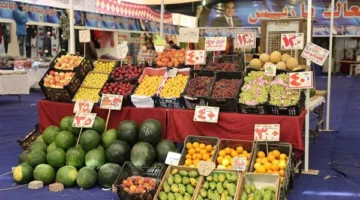 أسعار الفواكه والخضروات في الغربية اليوم الخميس 12 يونيو 2025