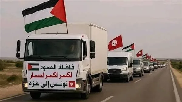 نائب ليبي: عبور قافلة الصمود دون تأشيرات رسمية يهدد الأمن الوطني نائب ليبي: عبور قافلة الصمود دون تأشيرات رسمية يهدد الأمن الوطني