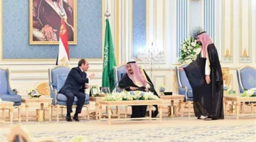 بعد قرار الرئيس بتأسيس المجلس الأعلى للتنسيق.. مجالات التعاون بين مصر والسعودية
