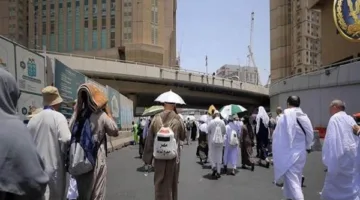 انطلاق نقل حجاج القرعة من مكة المكرمة إلى المدينة المنورة
