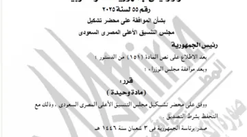 الرئيس السيسي يقر محضر تأسيس المجلس الأعلى للتنسيق بين مصر والسعودية