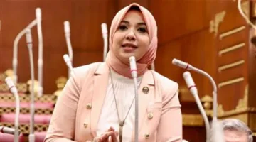 النائبة دينا هلالي: بيان وزارة الخارجية كان واضحًا ويؤكد الالتزام بأساسيات الأمن القومي.