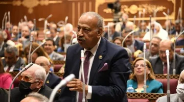 العسال: تصريح وزارة الخارجية يعكس نهج الدولة في حماية أمنها القومي