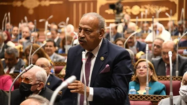 العسال: تصريح وزارة الخارجية يعكس نهج الدولة في حماية أمنها القومي العسال: تصريح وزارة الخارجية يعكس نهج الدولة في حماية أمنها القومي