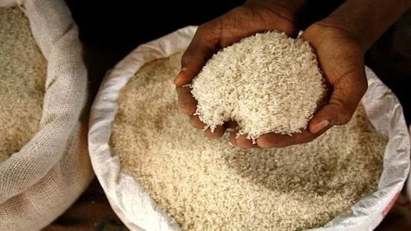 أسعار طن الأرز البني اليوم الخميس 12 يونيو 2025 أسعار طن الأرز البني اليوم الخميس 12 يونيو 2025