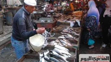 أسعار الأسماك في سوق العبور اليوم الخميس: البلطي بـ82 جنيهاً