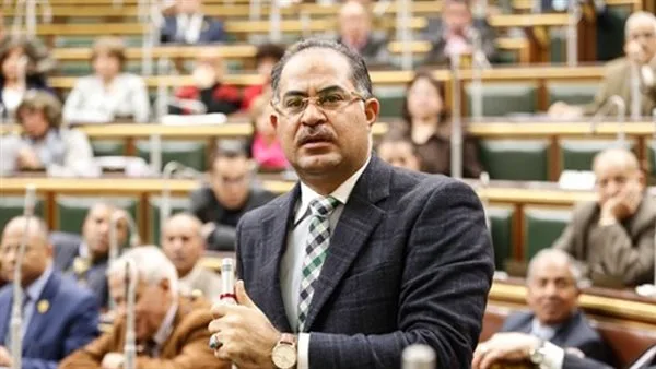 النائب سليمان وهدان: بيان الخارجية يعكس الموقف الرسمي لمصر الثابت في القضايا الوطنية والقومية النائب سليمان وهدان: بيان الخارجية يعكس الموقف الرسمي لمصر الثابت في القضايا الوطنية والقومية