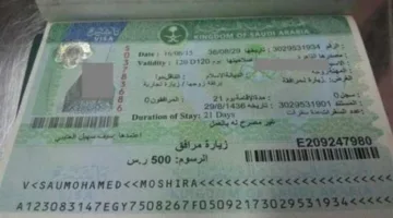 تأشيرة الزيارة العائلية للسعودية بعد موسم حج 2025: معلومات حول بدء التسجيل