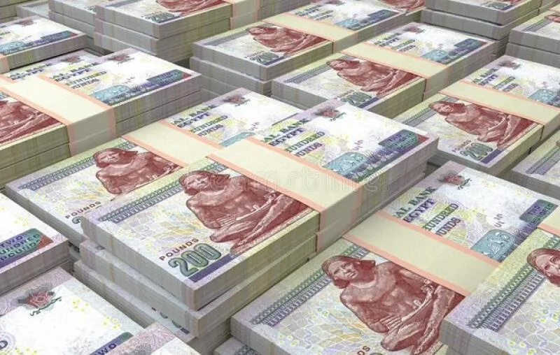 مصر تجهز لإصدار صكوك حكومية بقيمة 25 مليار جنيه في السوق المحلية مصر تجهز لإصدار صكوك حكومية بقيمة 25 مليار جنيه في السوق المحلية